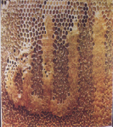 i25